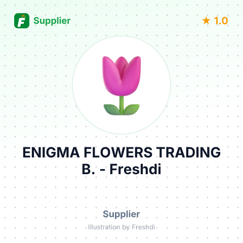 ENIGMA FLOWERS TRADING B. – summary card, no photo uploaded yet