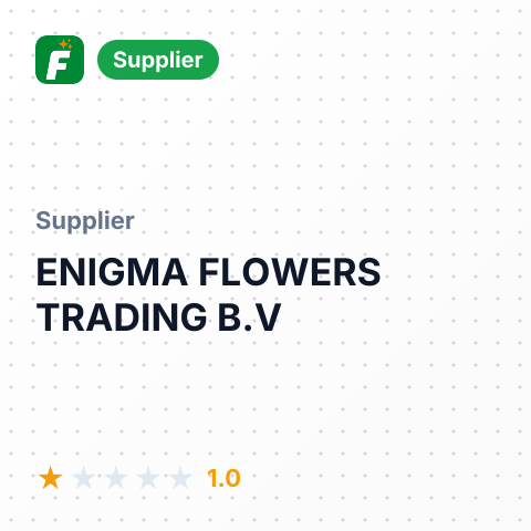 ENIGMA FLOWERS TRADING B.V – summary card, no photo uploaded yet