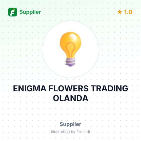 ENIGMA FLOWERS TRADING OLANDA – summary card, no photo uploaded yet