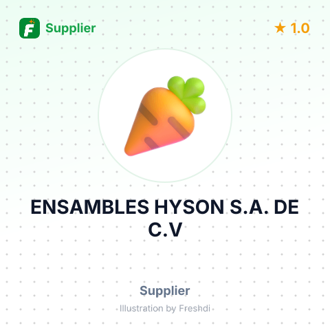 ENSAMBLES HYSON S.A. DE C.V – summary card, no photo uploaded yet