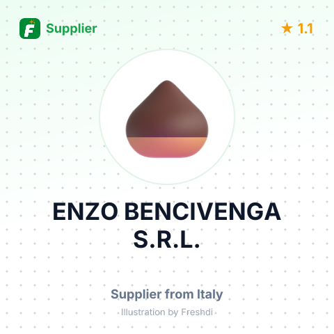 ENZO BENCIVENGA S.R.L. – summary card, no photo uploaded yet