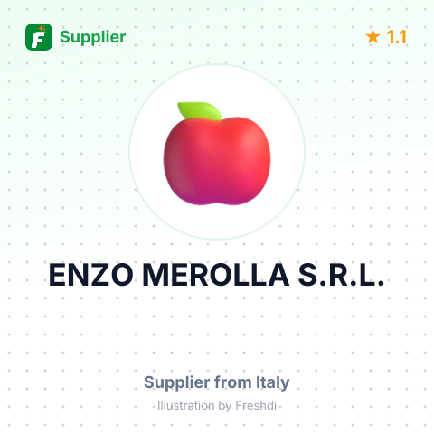 ENZO MEROLLA S.R.L. – summary card, no photo uploaded yet