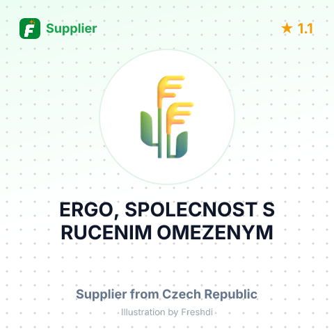ERGO, SPOLECNOST S RUCENIM OMEZENYM – summary card, no photo uploaded yet
