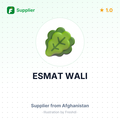 ESMAT WALI – summary card, no photo uploaded yet