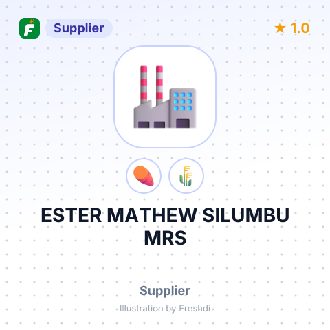 ESTER MATHEW SILUMBU MRS – summary card, no photo uploaded yet