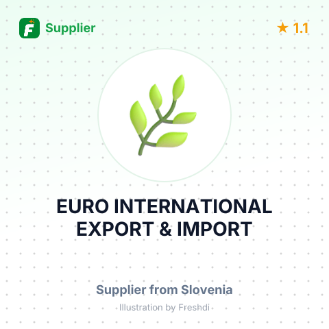 EURO INTERNATIONAL EXPORT & IMPORT – summary card, no photo uploaded yet