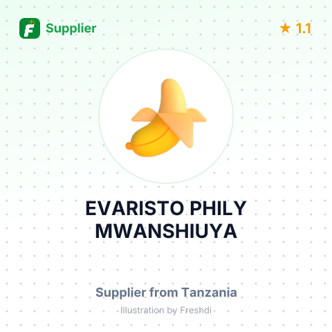 EVARISTO PHILY MWANSHIUYA – summary card, no photo uploaded yet