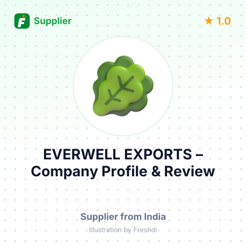 EVERWELL EXPORTS – summary card, no photo uploaded yet