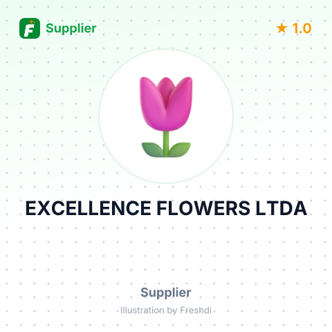 EXCELLENCE FLOWERS LTDA – summary card, no photo uploaded yet