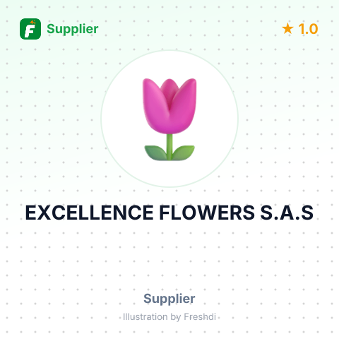 EXCELLENCE FLOWERS S.A.S – summary card, no photo uploaded yet