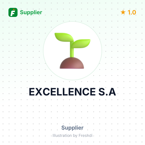 EXCELLENCE S.A – summary card, no photo uploaded yet