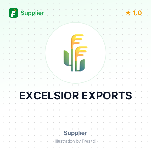 EXCELSIOR EXPORTS – summary card, no photo uploaded yet