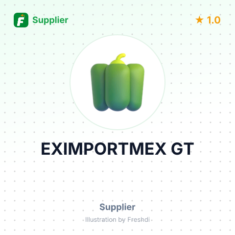 EXIMPORTMEX GT – summary card, no photo uploaded yet