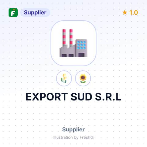 EXPORT SUD S.R.L – summary card, no photo uploaded yet