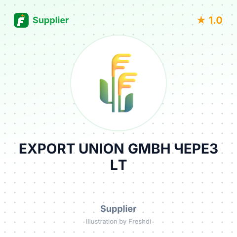 EXPORT UNION GMBH ЧЕРЕЗ LT – summary card, no photo uploaded yet