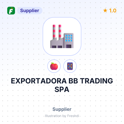 EXPORTADORA BB TRADING SPA – summary card, no photo uploaded yet