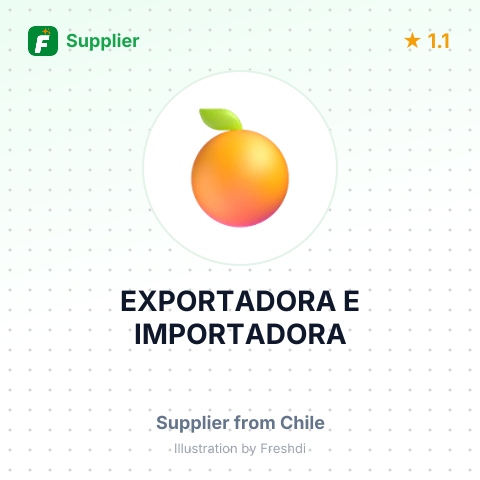 EXPORTADORA E IMPORTADORA – summary card, no photo uploaded yet