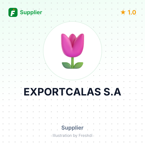 EXPORTCALAS S.A – summary card, no photo uploaded yet