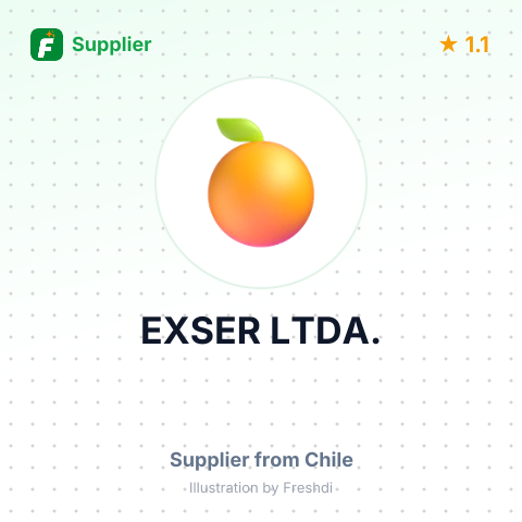 EXSER LTDA. – summary card, no photo uploaded yet