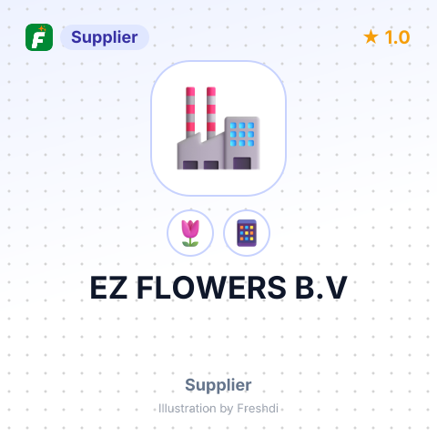 EZ FLOWERS B.V – summary card, no photo uploaded yet