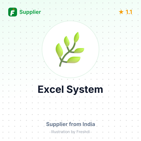 Excel System  – summary card, no photo uploaded yet