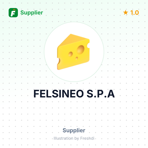 FELSINEO S.P.A – summary card, no photo uploaded yet