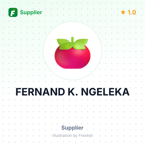 FERNAND K. NGELEKA – summary card, no photo uploaded yet