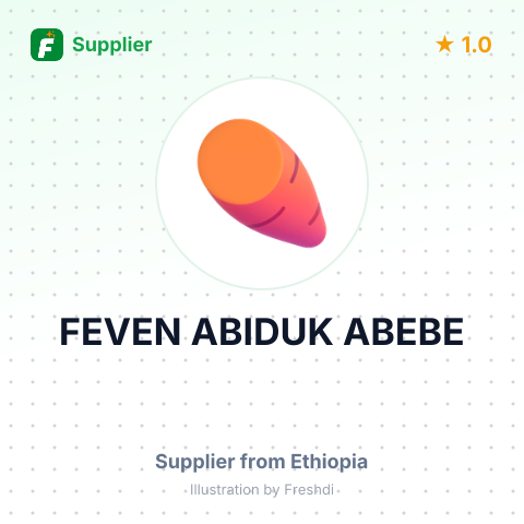 FEVEN ABIDUK ABEBE – summary card, no photo uploaded yet