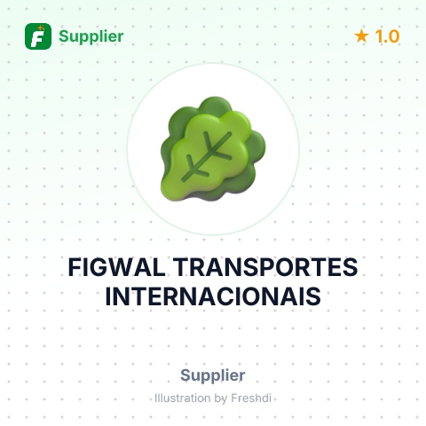 FIGWAL TRANSPORTES INTERNACIONAIS – summary card, no photo uploaded yet