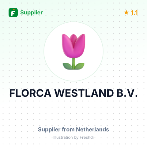 FLORCA WESTLAND B.V. – summary card, no photo uploaded yet