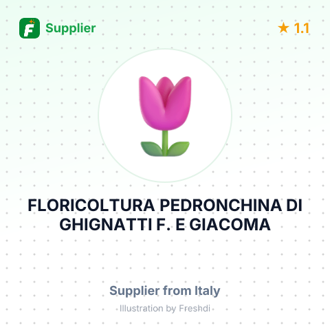 FLORICOLTURA PEDRONCHINA DI GHIGNATTI F. E GIACOMA – summary card, no photo uploaded yet