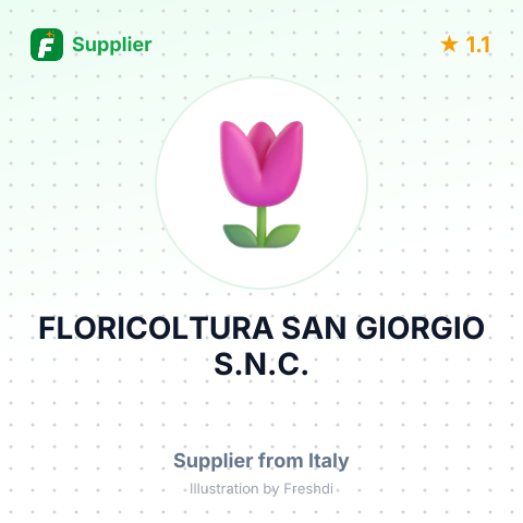 FLORICOLTURA SAN GIORGIO S.N.C. – summary card, no photo uploaded yet
