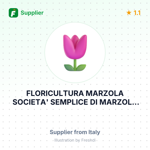 FLORICULTURA MARZOLA SOCIETA' SEMPLICE DI MARZOLA SERGIO E GIANCARLO – summary card, no photo uploaded yet