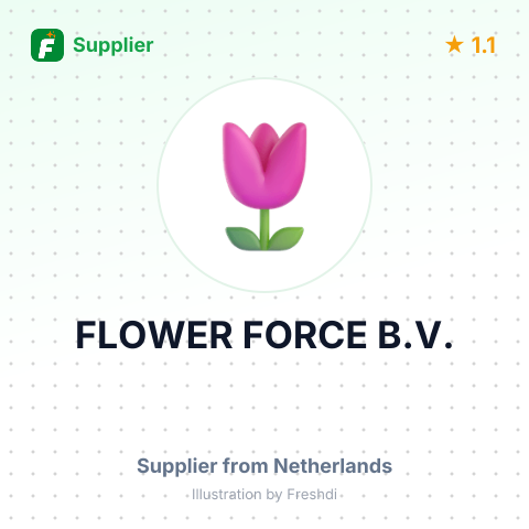 FLOWER FORCE B.V. – summary card, no photo uploaded yet