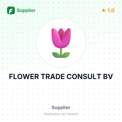 FLOWER TRADE CONSULT BV – summary card, no photo uploaded yet