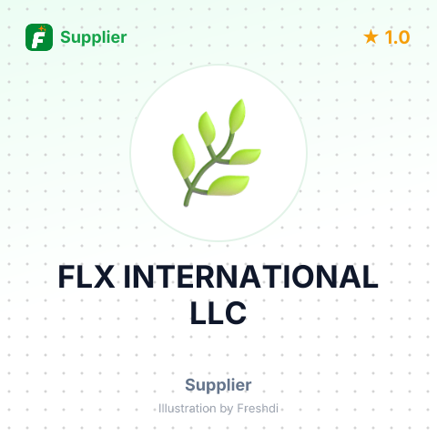 FLX INTERNATIONAL LLC – summary card, no photo uploaded yet