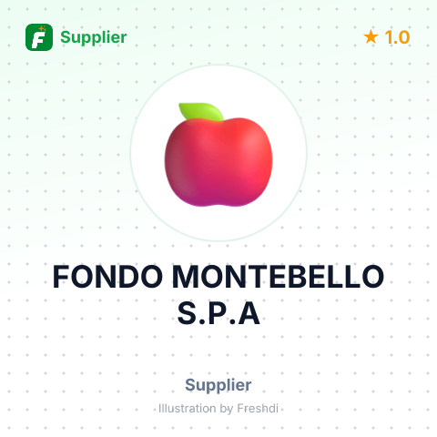 FONDO MONTEBELLO S.P.A – summary card, no photo uploaded yet