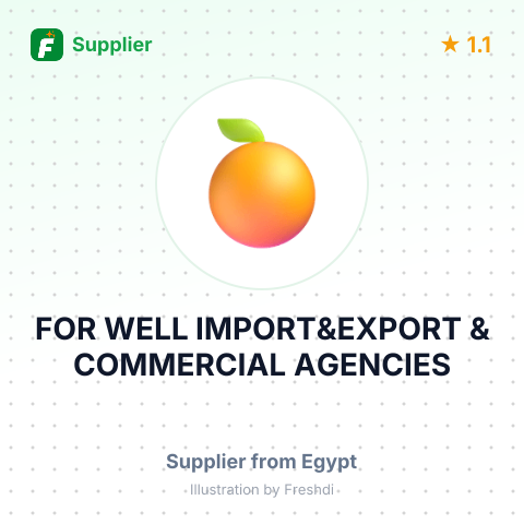 FOR WELL IMPORT&EXPORT & COMMERCIAL AGENCIES – summary card, no photo uploaded yet