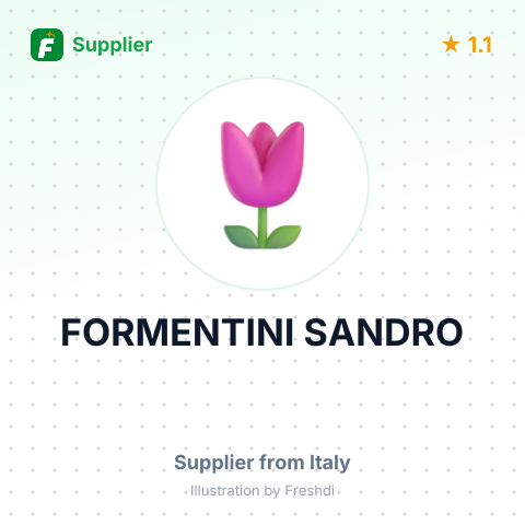 FORMENTINI SANDRO – summary card, no photo uploaded yet