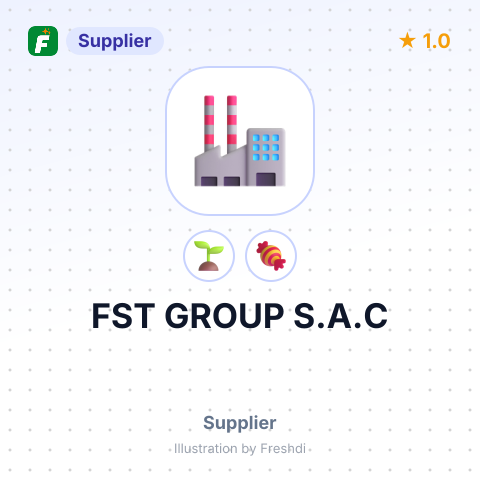 FST GROUP S.A.C – summary card, no photo uploaded yet