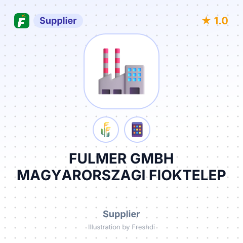 FULMER GMBH MAGYARORSZAGI FIOKTELEP – summary card, no photo uploaded yet