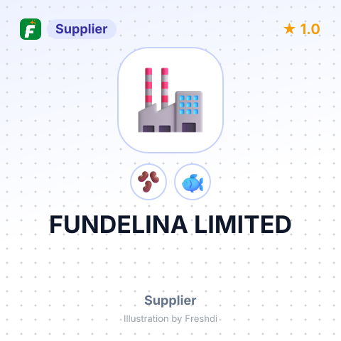 FUNDELINA LIMITED – summary card, no photo uploaded yet