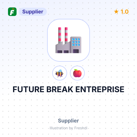 FUTURE BREAK ENTREPRISE – summary card, no photo uploaded yet