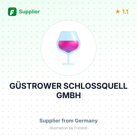 GÜSTROWER SCHLOSSQUELL GMBH – summary card, no photo uploaded yet