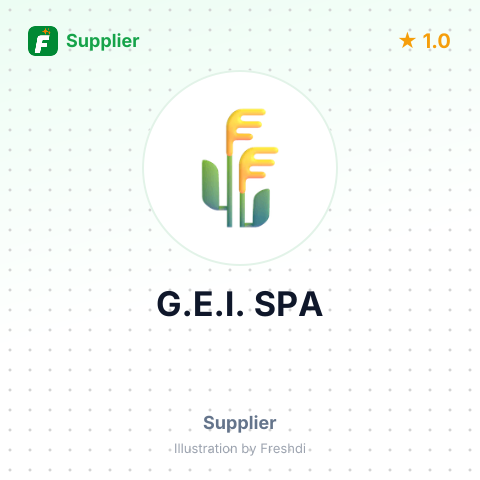 G.E.I. SPA – summary card, no photo uploaded yet