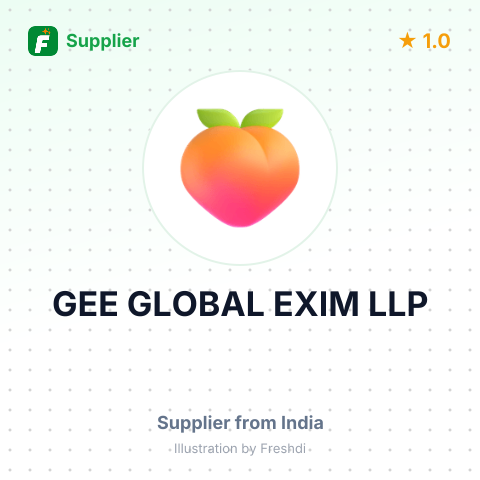 GEE GLOBAL EXIM LLP – summary card, no photo uploaded yet