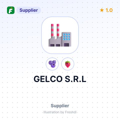 GELCO S.R.L – summary card, no photo uploaded yet