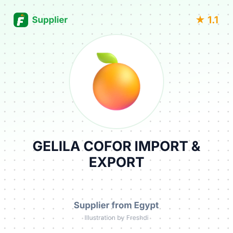 GELILA COFOR IMPORT & EXPORT – summary card, no photo uploaded yet