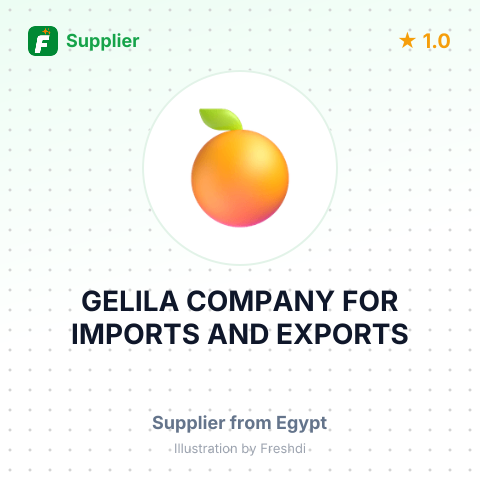 GELILA COMPANY FOR IMPORTS AND EXPORTS – summary card, no photo uploaded yet