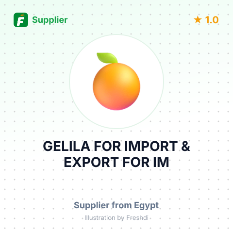GELILA FOR IMPORT & EXPORT FOR IM – summary card, no photo uploaded yet